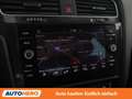 Volkswagen Golf 2.0 TDI Rabbit 40 R-Line Grau - thumbnail 21