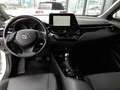Toyota C-HR 2,0 Hybrid C-LUB Aut *VOLL-LED / 18 ZOLL / VOLLEDER / KAMERA / TEMPOMAT / SITZHEIZUNG* Weiß - thumbnail 3