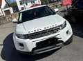 Land Rover Range Rover Evoque Range Rover Evoque SD4 Prestige Weiß - thumbnail 6