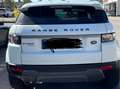 Land Rover Range Rover Evoque Range Rover Evoque SD4 Prestige Weiß - thumbnail 1