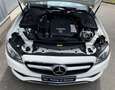 Mercedes-Benz E 200 Cabriolet - 1st Owner - Immaculate Condition Wit - thumbnail 19