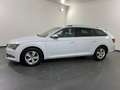 Skoda Superb Superb Kombi 2,0 TDI 4x4 Style DSG Style Weiß - thumbnail 15