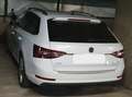 Skoda Superb Superb Kombi 2,0 TDI 4x4 Style DSG Style Weiß - thumbnail 6