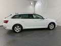 Skoda Superb Superb Kombi 2,0 TDI 4x4 Style DSG Style Weiß - thumbnail 16