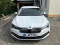 Skoda Superb - thumbnail 1