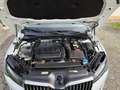 Skoda Superb - thumbnail 4