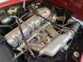 Mercedes-Benz SL 230 (113) Rojo - thumbnail 13