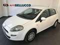 Fiat Punto 1.4 8V 5p. Natural Power Easy Bianco - thumbnail 1