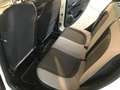 Fiat Punto 1.4 8V 5p. Natural Power Easy Bianco - thumbnail 11