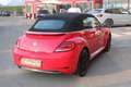 Volkswagen Maggiolino Cabrio 1.2 TSI DSG Design Rosso - thumbnail 6