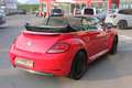 Volkswagen Maggiolino Cabrio 1.2 TSI DSG Design Rosso - thumbnail 5