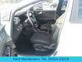 Ford Puma 1.0 EB Titanium*iACC*TWA*360°*4J.FGS* Weiß - thumbnail 9