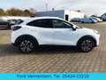 Ford Puma 1.0 EB Titanium*iACC*TWA*360°*4J.FGS* Weiß - thumbnail 6