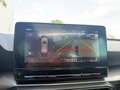 SEAT Leon ST 1,0 eTSI Style DSG *PANO, ACC, AHK, LED, VIRT* Weiß - thumbnail 29