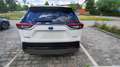 Toyota RAV 4 2.5 4x2 Hybrid Style Selection - thumbnail 4