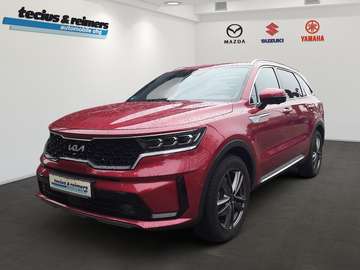 1.6T PHEV Platinum Nappa/8-fach Reifen