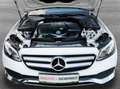 Mercedes-Benz E 200 d T Aut. Avantgarde*NAVI*LEDER*LED*AHK*PARKTRON... Weiß - thumbnail 30