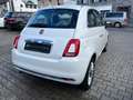 Fiat 500 Weiß - thumbnail 3