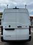 Renault Master T35 2.0 BluedCi 130CV PM-TM Furgone - thumbnail 9