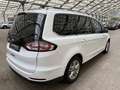 Ford Galaxy 1.5 EcoBoost  Titanium|AHK|WinterPaket Weiß - thumbnail 5