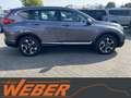 Honda CR-V 1.5 T 4WD Elegance ACC Navi AHK Grau - thumbnail 3