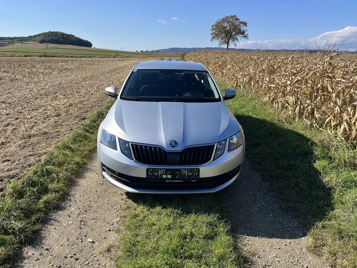 Skoda Octavia 1,6 TDI Active Silber - 2