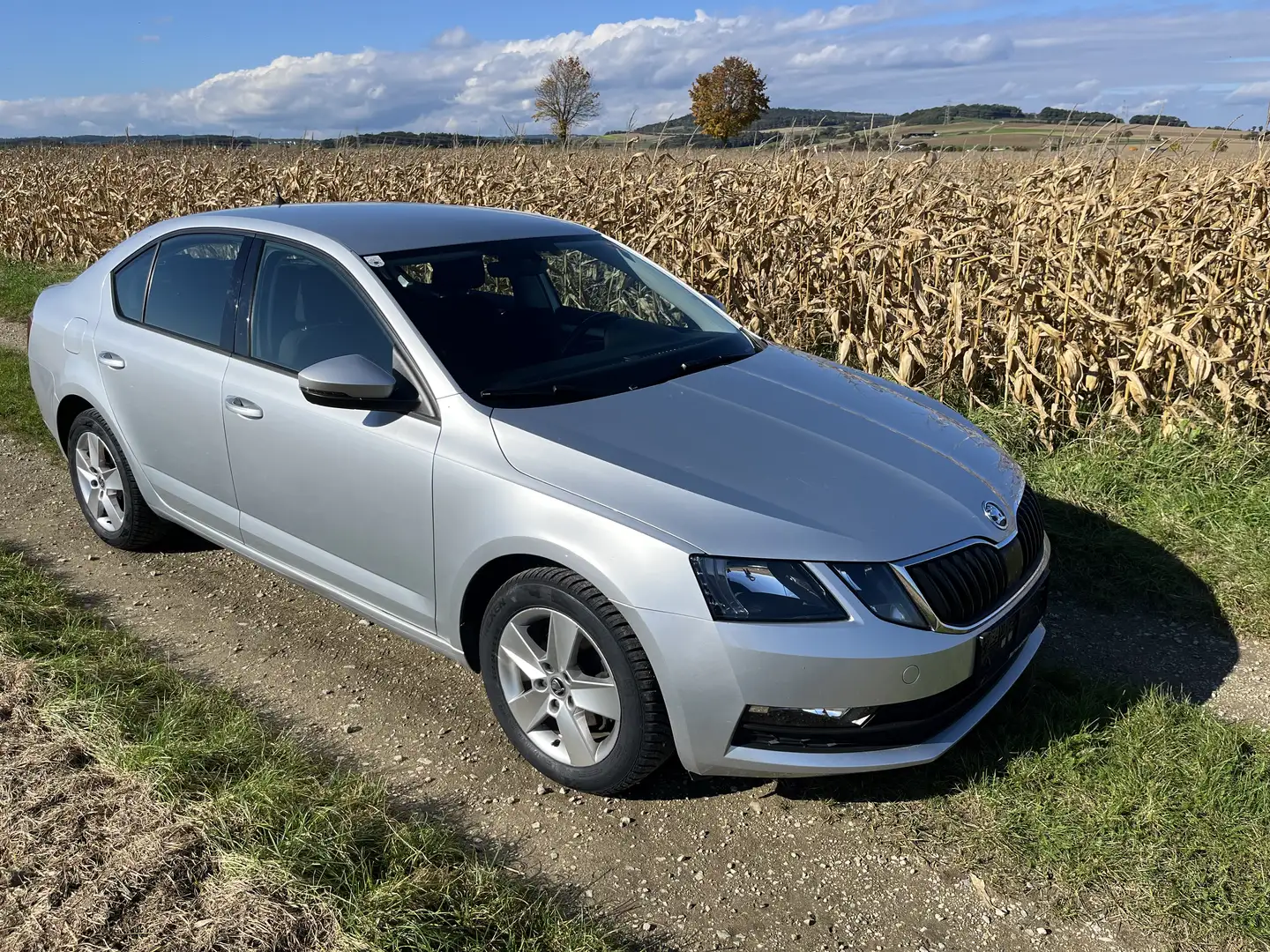 Skoda Octavia 1,6 TDI Active Silber - 1