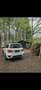 Mercedes-Benz GL 350 BlueTEC 4Matic 7G-TRONIC - thumbnail 11