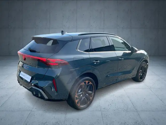 Cupra Terramar view 5