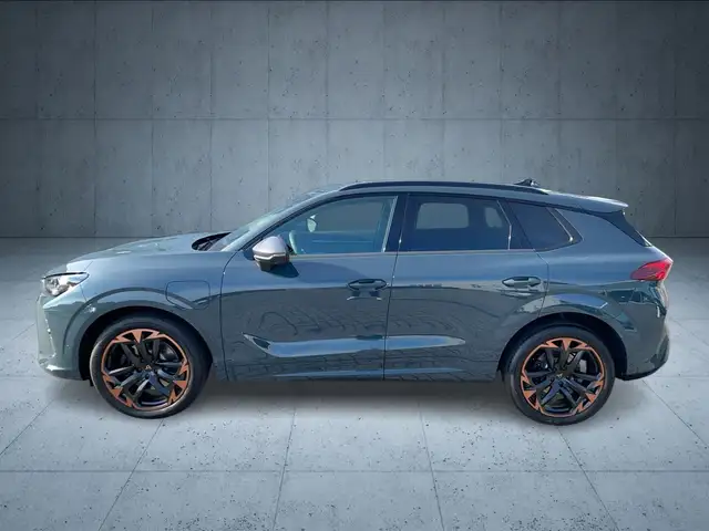 Cupra Terramar view 2