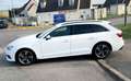 Audi A4 40 TFSI 2.0 190CV BVA7 Business Line CUIR 13325HT  Wit - thumbnail 2