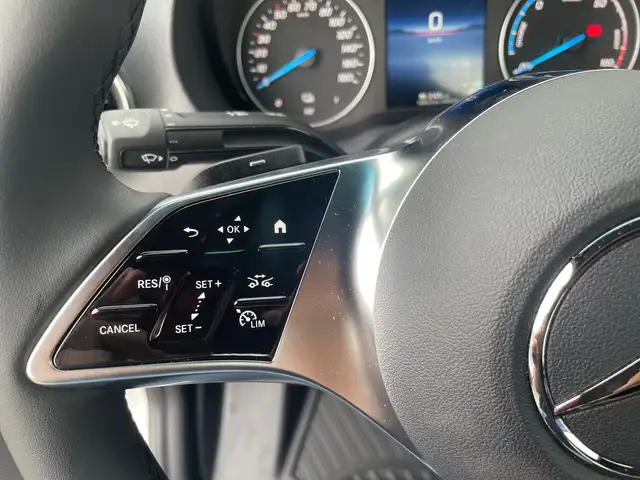 Mercedes-Benz Sprinter ''e'' Pritsche 320 Rückfahrkamera Ansicht 13