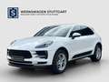 Porsche Macan S Autom./Klima/BC/eFH. Sound-System BOSE/MF-Lenkrad/Tempomat/Allrad/Radioempfang digital (DAB+)/Rücksitzlehne geteilt Weiß - thumbnail 1