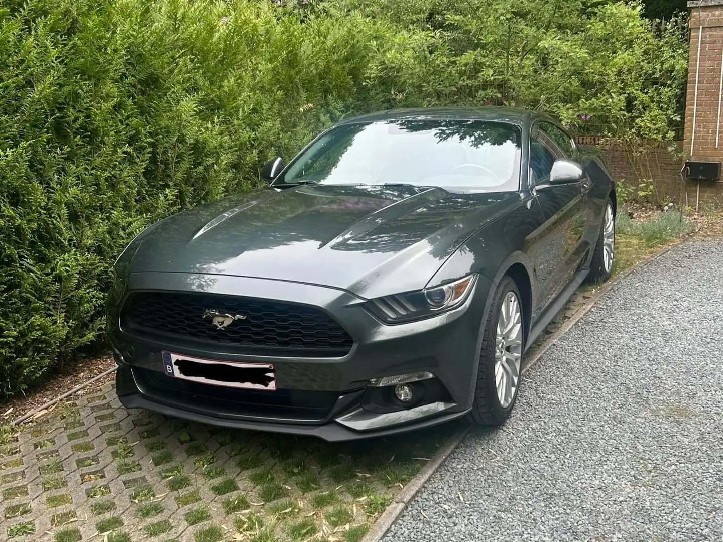 Ford Mustang Mustang 2.3 Eco Boost Groen - 1