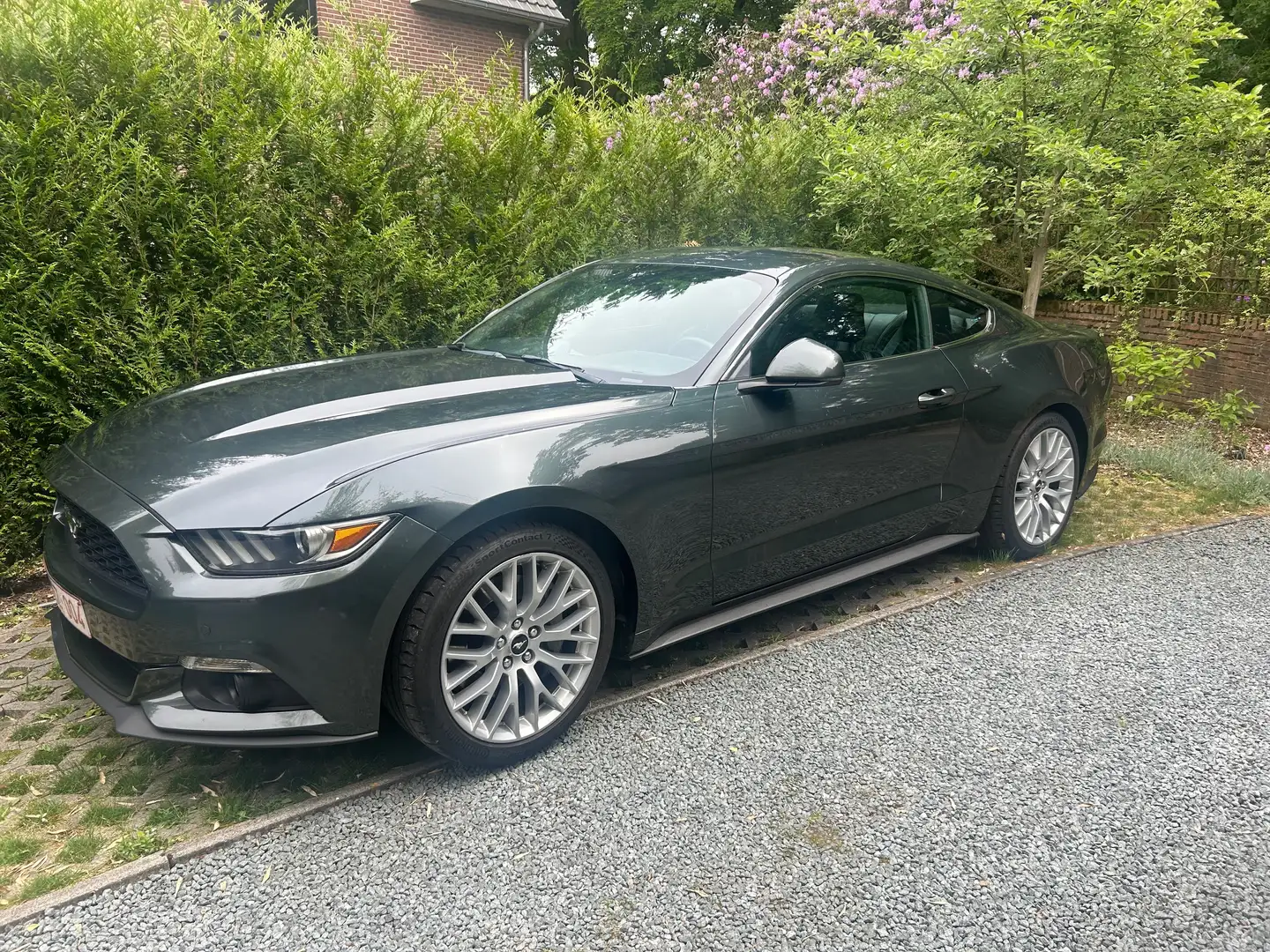 Ford Mustang Mustang 2.3 Eco Boost Groen - 2