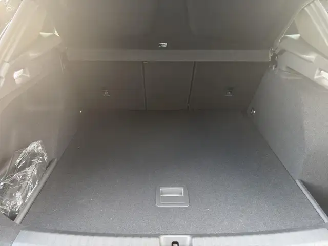 Cupra Terramar view 12