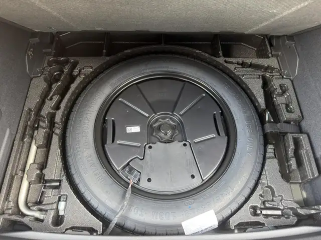 Cupra Terramar view 14