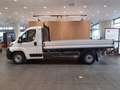 Toyota Proace Max 35H 2.2 BlueHDi 140CV PLM Cassonato Bianco - thumbnail 3