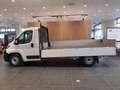 Toyota Proace Max 35H 2.2 BlueHDi 140CV PLM Cassonato Bianco - thumbnail 4