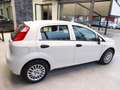 Fiat Punto 1.4 8V GPL Easypower Young Bianco - thumbnail 8