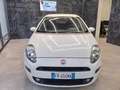 Fiat Punto 1.4 8V GPL Easypower Young Bianco - thumbnail 1