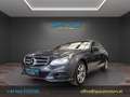 Mercedes-Benz E 220 CDI Avantgarde A-Edition Aut. Gris - thumbnail 1