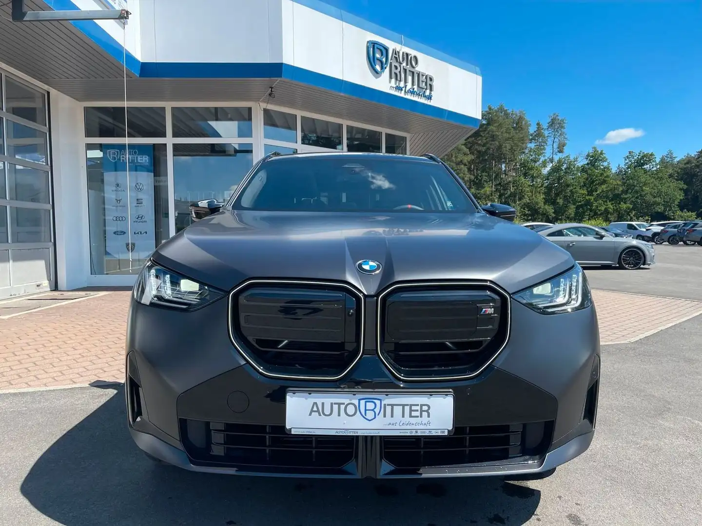 BMW X3 M50i xDrive H&K+Pano+AHK Gris - 2