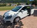 SEAT Alhambra Alhambra 1.9 TDI AHK und PDC Weiß - thumbnail 20