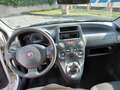 Fiat Panda van BENZINA-GPL scadenza bombole 2031 Blanc - thumbnail 8