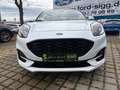 Ford Puma 1.0 ST-Line X AT *PANO*LED*ACC*NAV*SHZ*CAM*LM19* Blanc - thumbnail 29