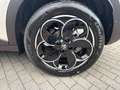 Alfa Romeo Junior Ibrida SPECIALE Panoramadach-TechnologiePaket Beige - thumbnail 15