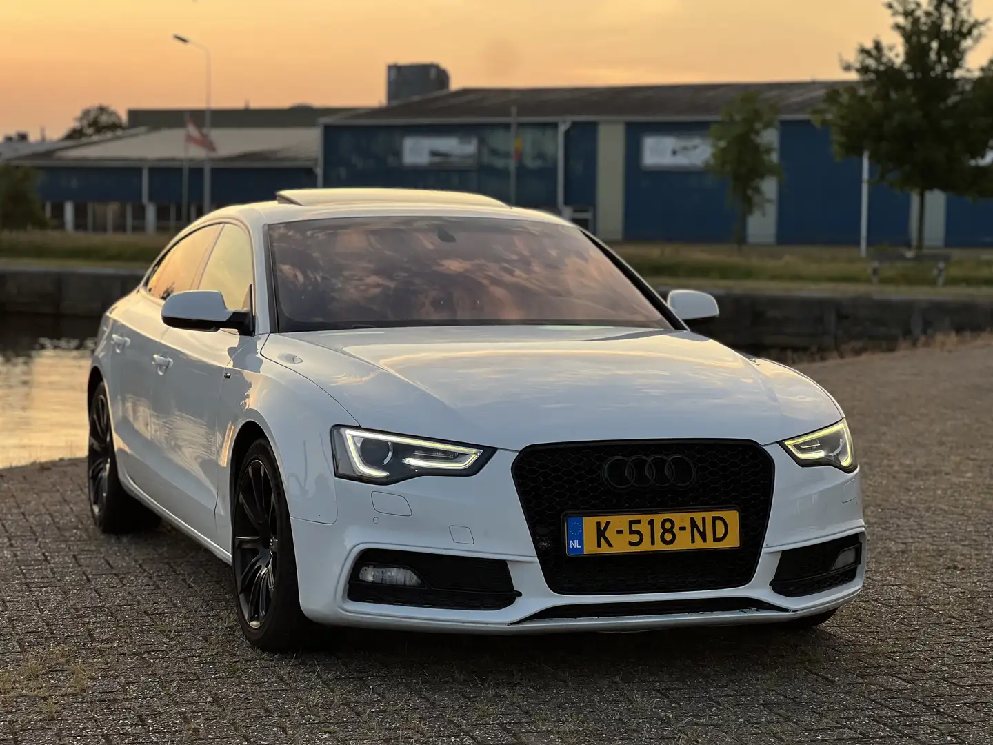 Audi A5 2.0 TDI Pro Line S Wit - 1