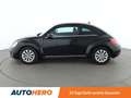 Volkswagen Beetle 1.2 TSI Design BMT Aut.*XENON*TEMPO*PDC* Schwarz - thumbnail 3