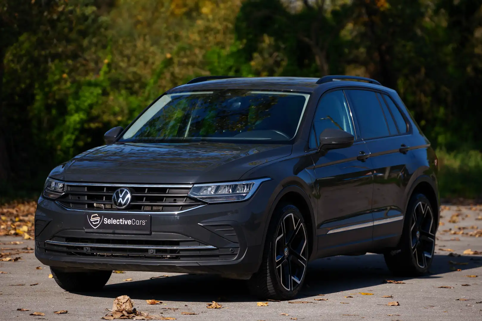 Volkswagen Tiguan 2.0TDI Life 110kW Gris - 1